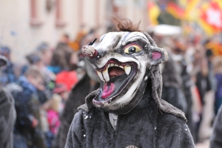 Bachratte Eimeldingen - Binzen _c032013 Bachratte Eimeldingen - Binzen _c032674.jpg