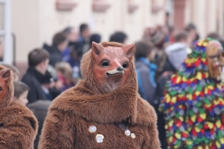 Rötelstei Fuchs-Clique Grenzach - Binzen _c032013 Rötelstei Fuchs-Clique Grenzach - Binzen _c032443.jpg