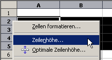 Kontextmenu auf den Zeilenköpfen Screenshot